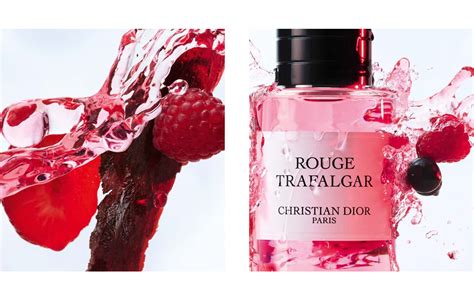 dior rouge trafalgar parfum kaufen|trafalgar law perfume.